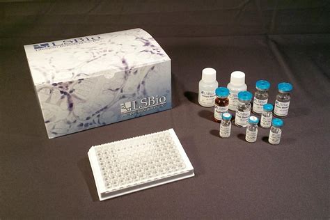 ages elisa kit|AGE Competitive ELISA .